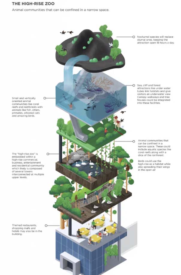 Infographic template about how to create a concept for high rise zoos