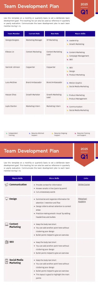 editable team learning and career development plan template for assessment in current role