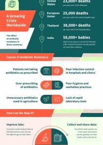 Antibiotic Resistance Facts
