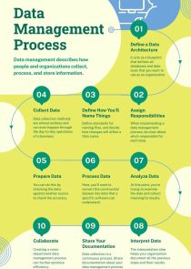 Data Management Process Timeline