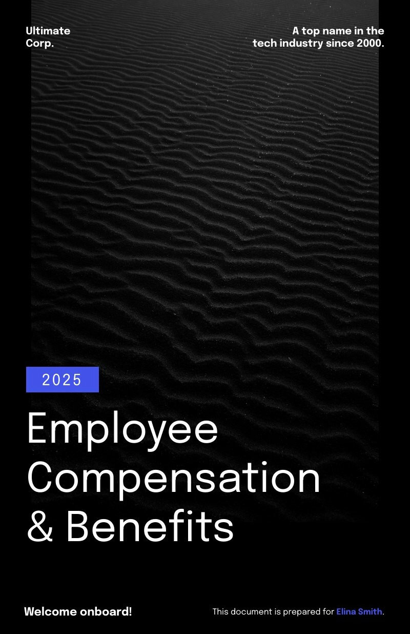 template for employee compensation and benefits with information about company offers paid holidays expense reimbursement and vacation time