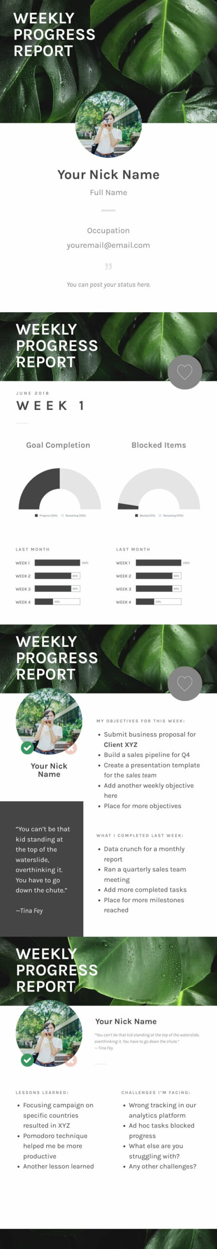 editable template for weekly progress reports 