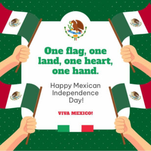 Mexican Independence Day Instagram Post