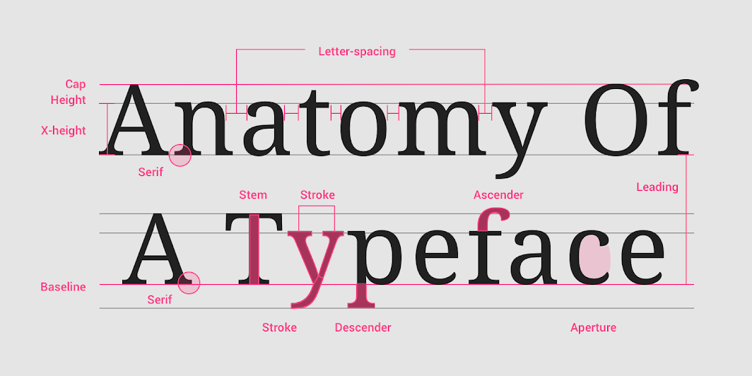 font anatomy showing stem stroke and tail of the font