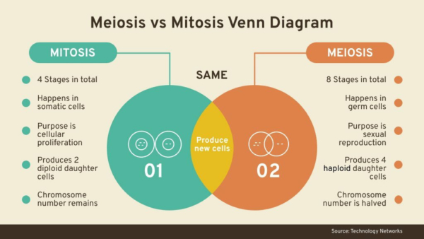 example of a venn diagram showing the overlap between meiosis and mitosis