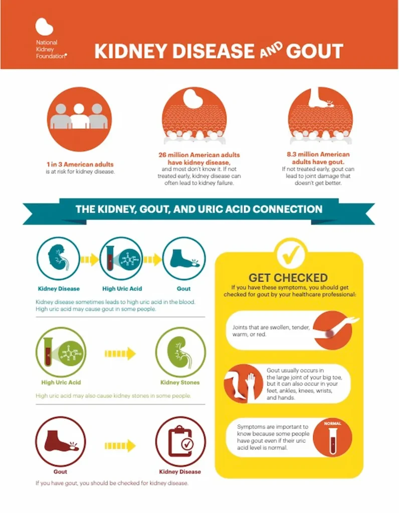 kidney disease and gout infographic by the National Kidney Foundation