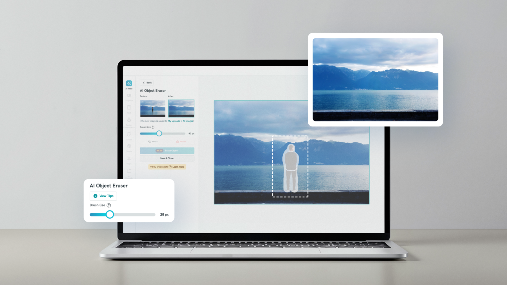 pikto ai object remover demo image